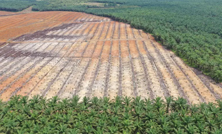 “Karya Murni delivered our land clearing project with strong coordination and consistent quality. Terracing, drainage, and access roads were completed on time and to a high standard. A very reliable partner.