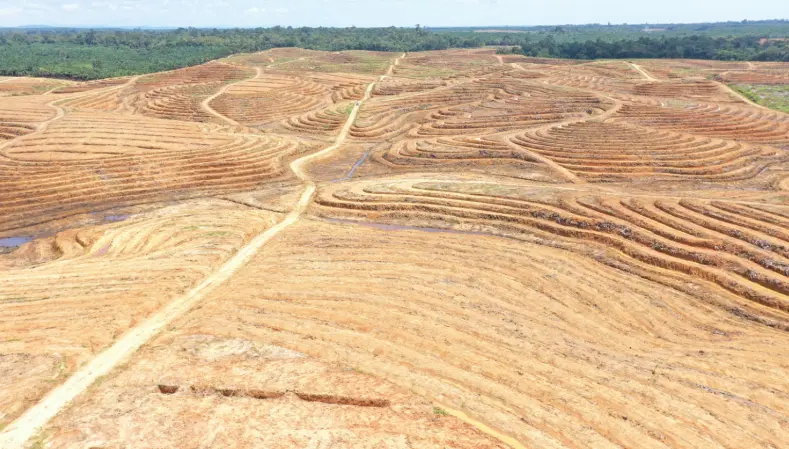 “Their team handled underbrushing, felling, and terracing efficiently and safely. Communication was clear throughout, and the final result exceeded our expectations.