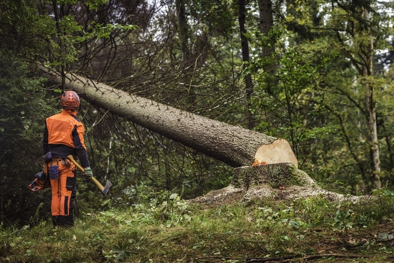 Expansion of fleet, services, and geographic coverage across Indonesia.